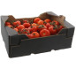 TOMATE GRAPPE HAUT CLOS 3,5KG